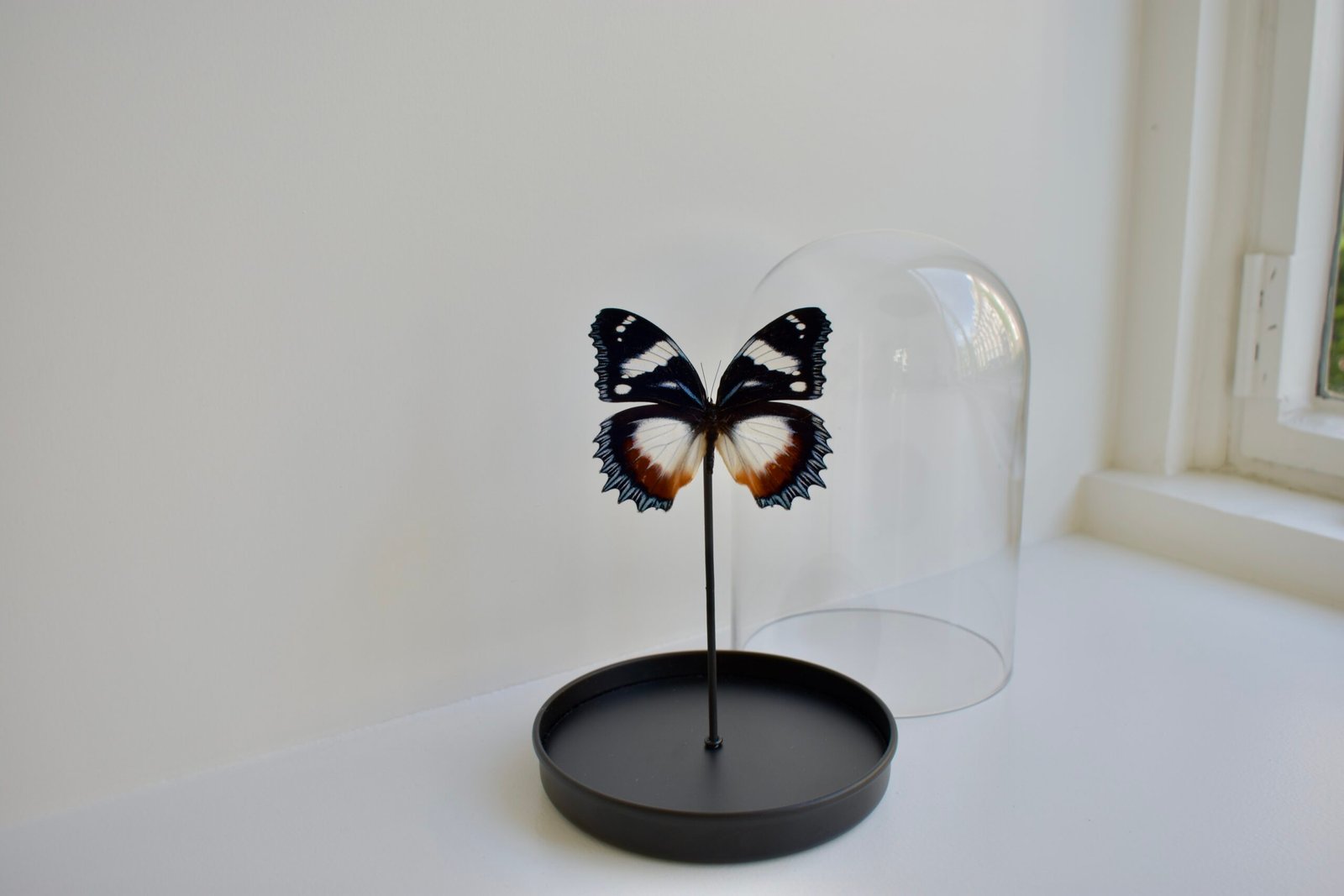 Charms Studio